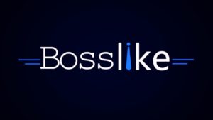Способы продвижения социальных сетей с помощью биржи Bosslike